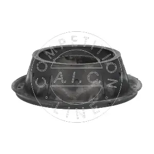 AIC 71599