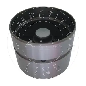 AIC 51358