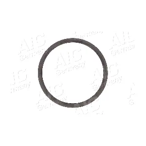 AIC 55466
