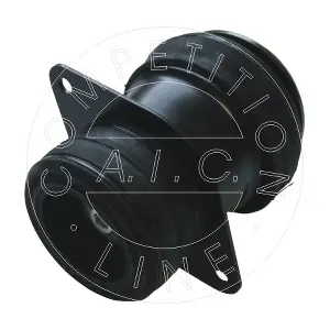 AIC 51371