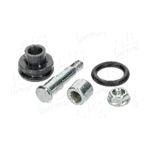 AIC 55888