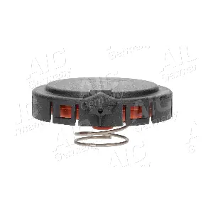 AIC 55625