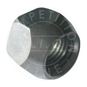 AIC 52919