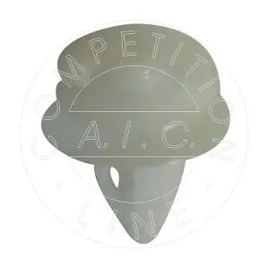 AIC 55675