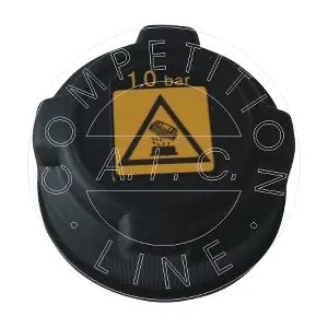 AIC 56074
