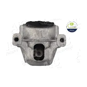 AIC 58031