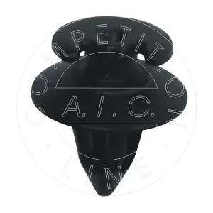55658 AIC