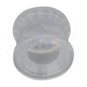 AIC 57339