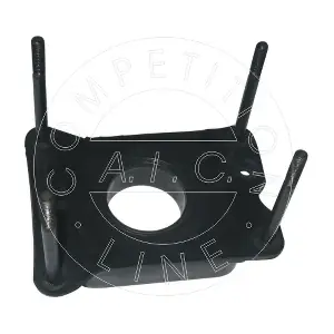 AIC 51796