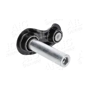AIC 54918