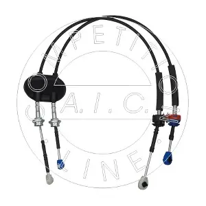 AIC 58955