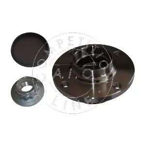 AIC 55205