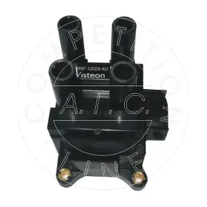 AIC 51309