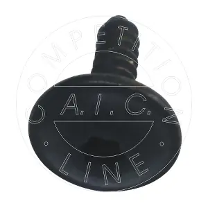 55665 AIC