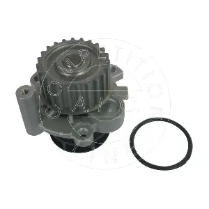 AIC 51074
