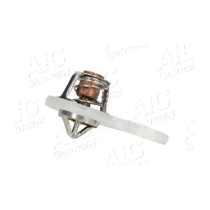 AIC 75196