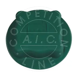 AIC 55597