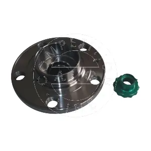 AIC 55871