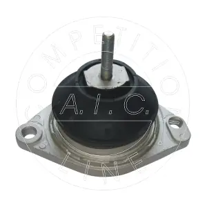 AIC 51137