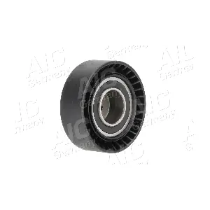 AIC 51096
