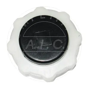 AIC 55733