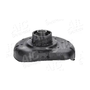 AIC 50168