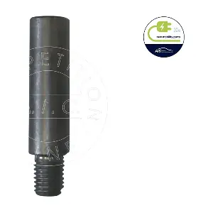 AIC 55282