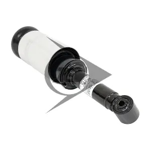AIC 71137