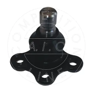 AIC 55073