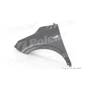 POLCAR 55X101