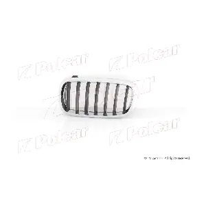 POLCAR 20T105-1
