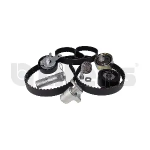 Litens LT979680A