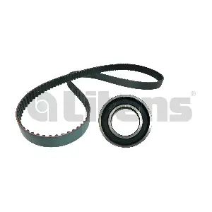 LT9790066A Litens