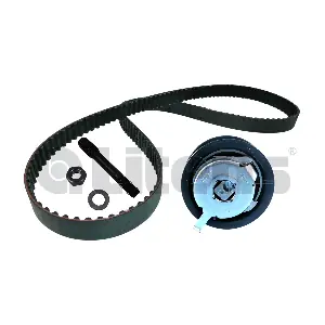 Litens LT979306A