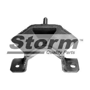 F0389 STORM QUALITY PARTS