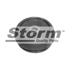 F1974 STORM QUALITY PARTS