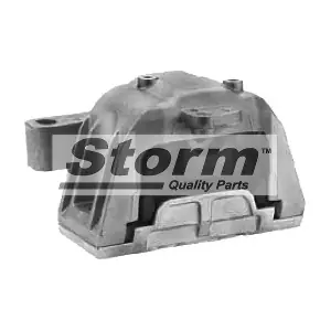 STORM QUALITY PARTS F2571