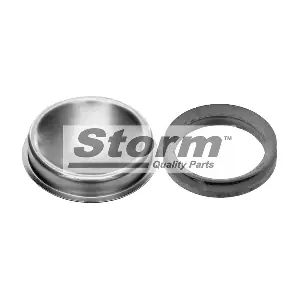 STORM QUALITY PARTS F4719