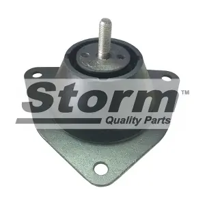 STORM QUALITY PARTS F1999
