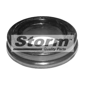 F2589 STORM QUALITY PARTS