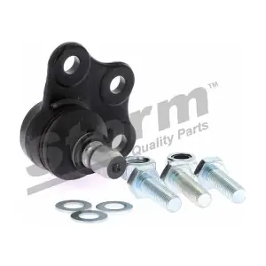 STORM QUALITY PARTS 61281