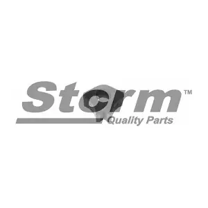 STORM QUALITY PARTS F2026