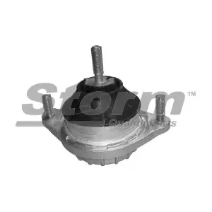 F2561 STORM QUALITY PARTS