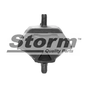 STORM QUALITY PARTS F2576
