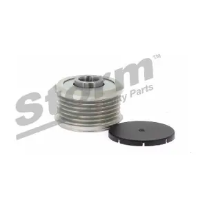 STORM QUALITY PARTS F10836