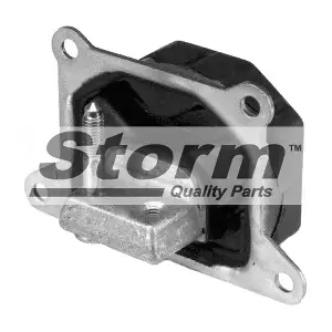 STORM QUALITY PARTS F1966