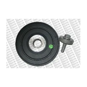 STORM QUALITY PARTS 87191
