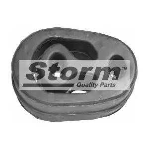 STORM QUALITY PARTS F0691