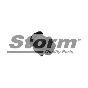 STORM QUALITY PARTS F1196