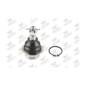 RODRUNNER BJ-FO-1264